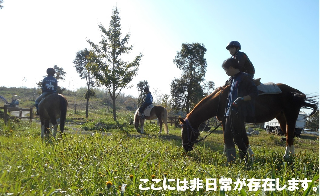 img20210510151242091453.jpg
